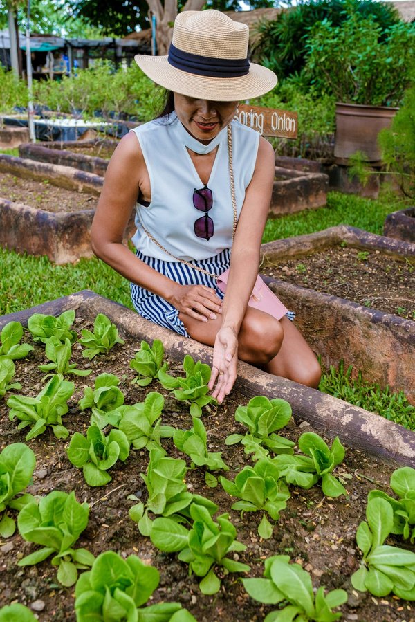 Lutte bio : conseils pratiques pour un jardin durable